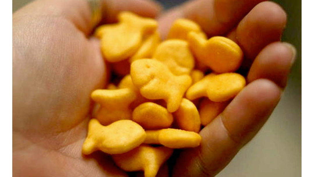 Goldfish2 — AJ's Jewelry Ridgewood Queens NY