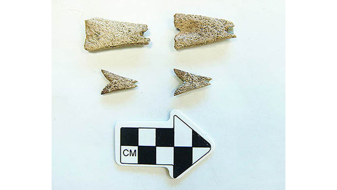 Ancientearrings2 — AJ's Jewelry Ridgewood Queens NY