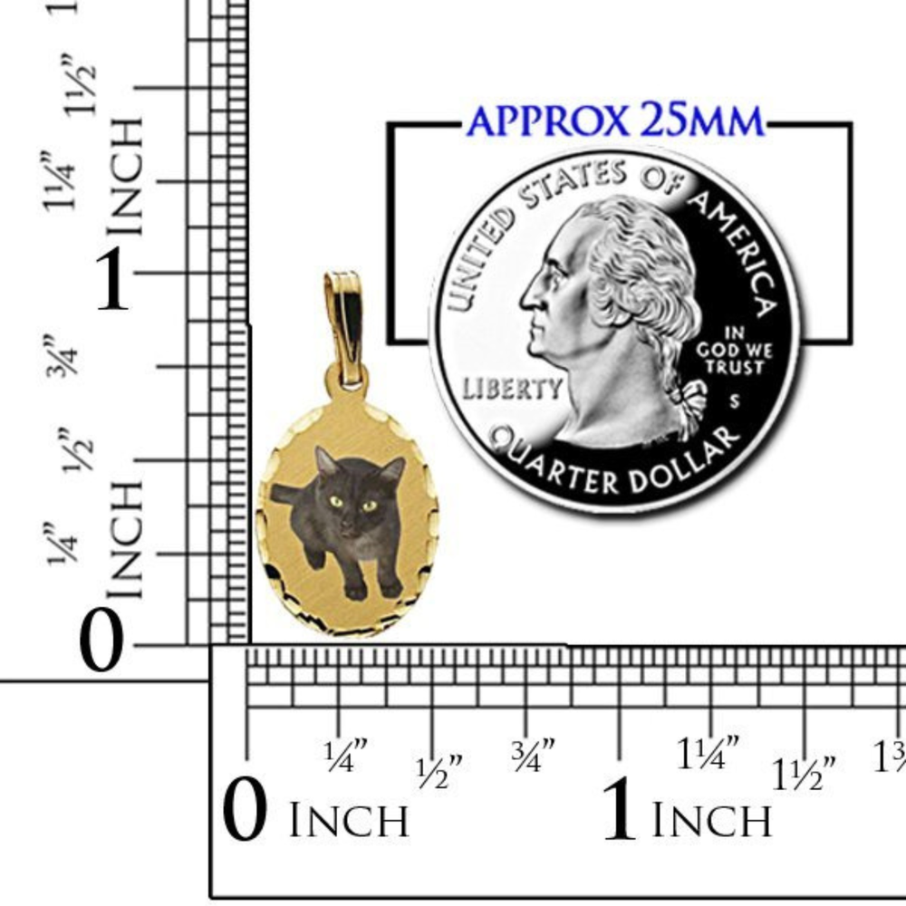 Gold oval pendant with a black cat, shown next to a US quarter dollar coin for scale, with measurement rulers