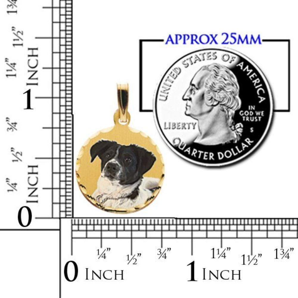 A round gold picture pendant with a dog portrait shown next to a U.S. quarter and a ruler for size reference